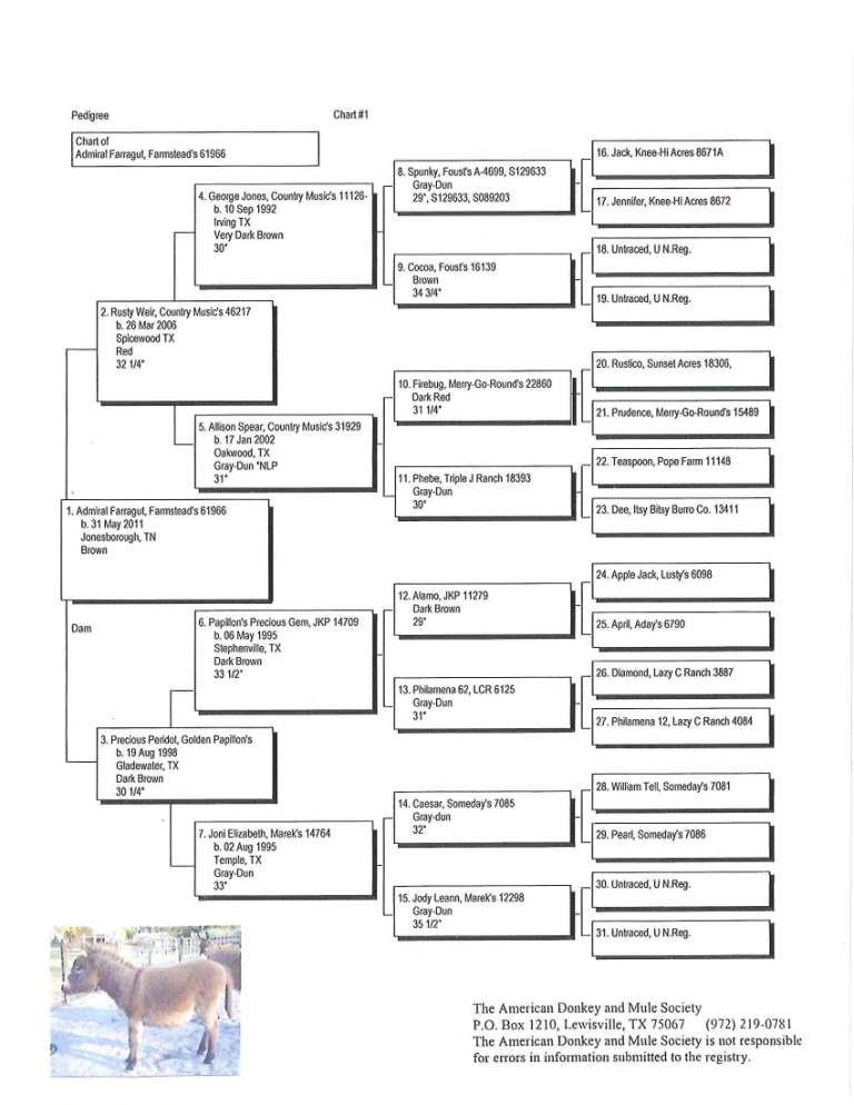 Admiral's Pedigree