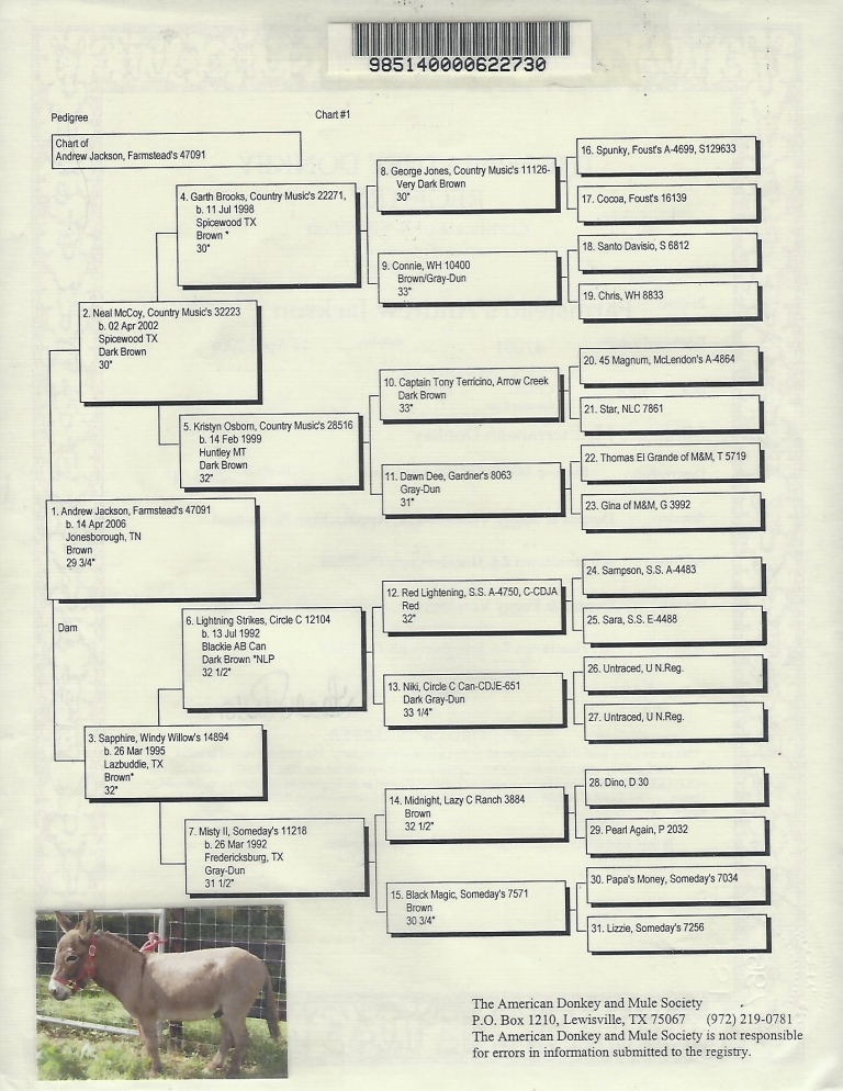 Jackson's Pedigree