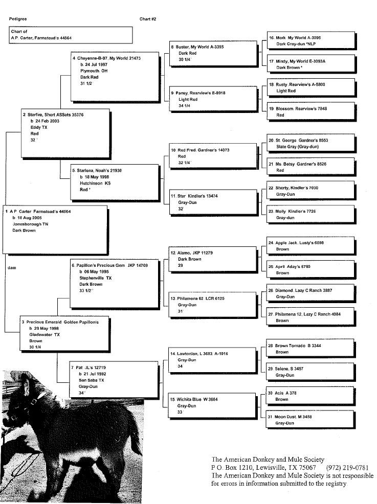 A.P. Carter's Pedigree