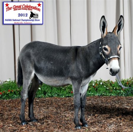 Appalachian Farmstead's Archie Campbell