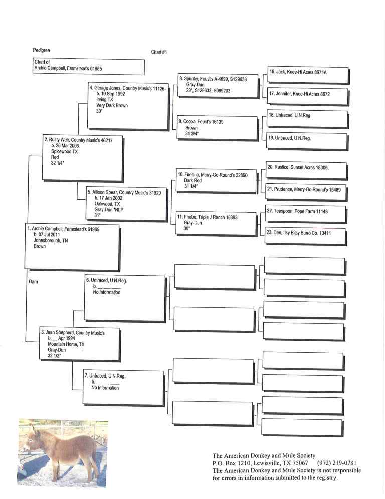 Archie's Pedigree
