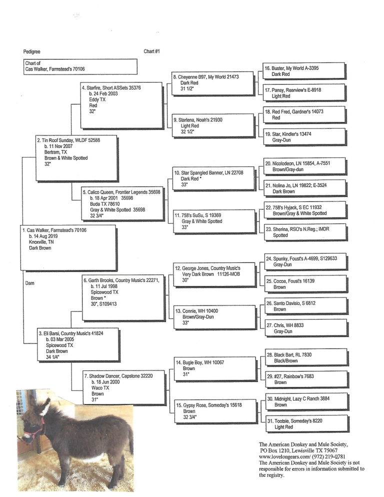 Cas' Pedigree