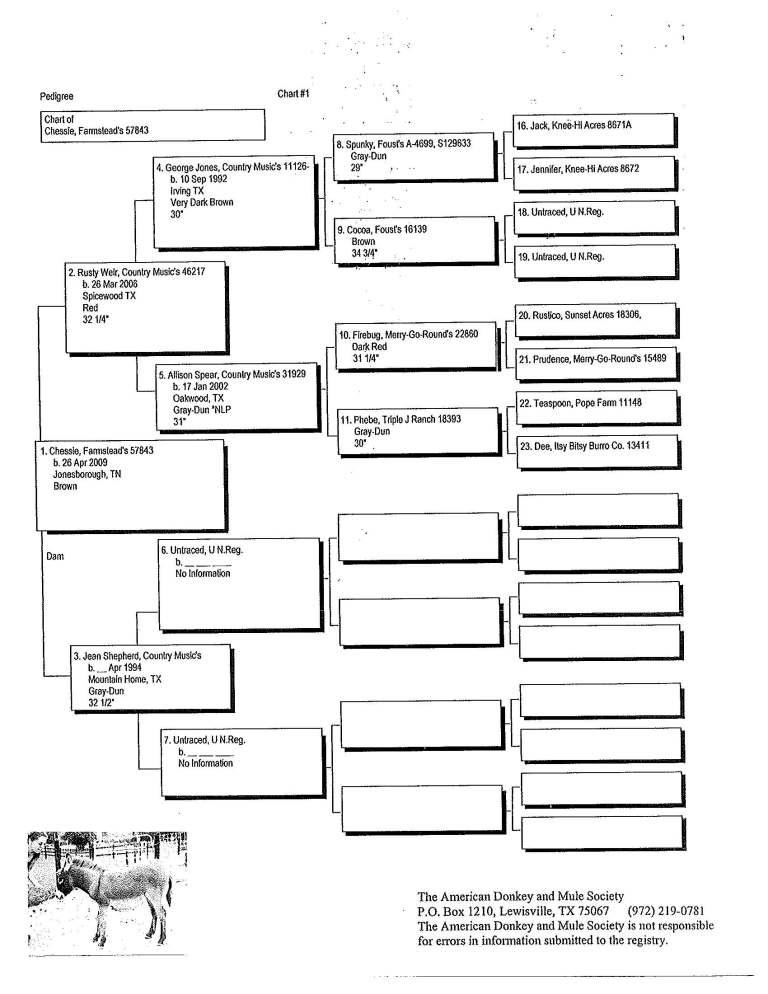 Chessie's Pedigree