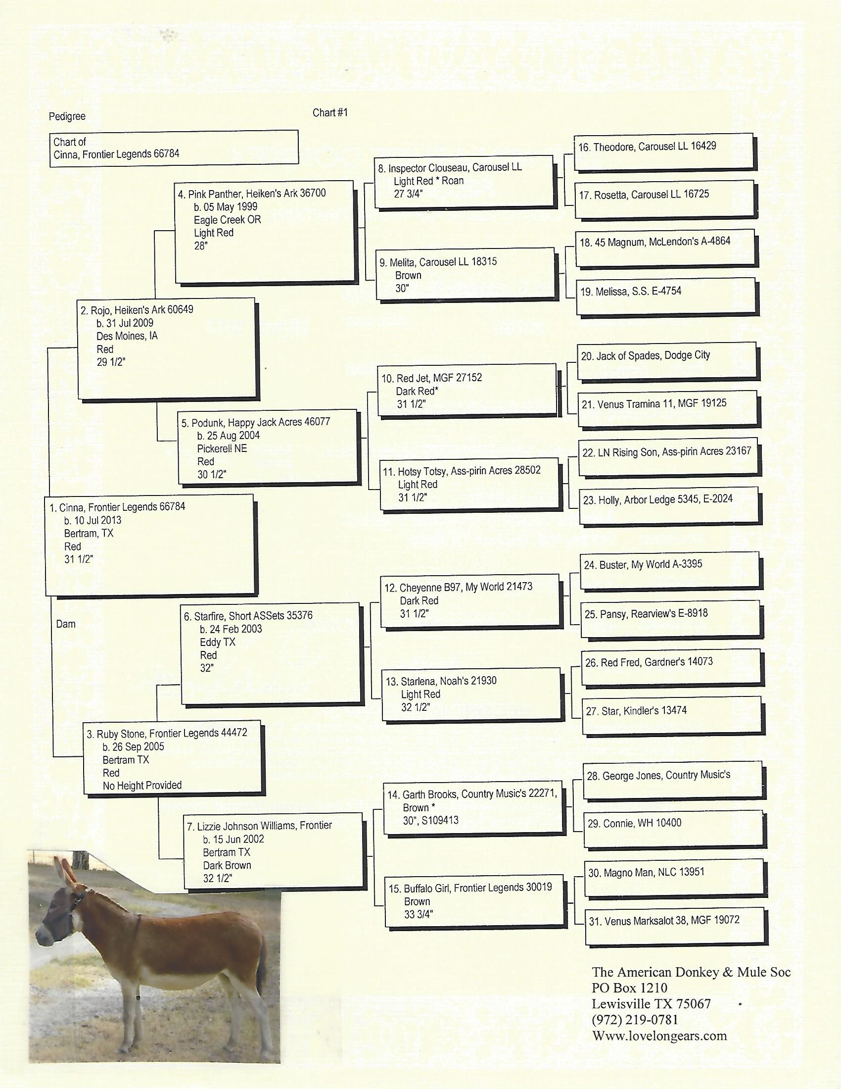 Cinna's Pedigree