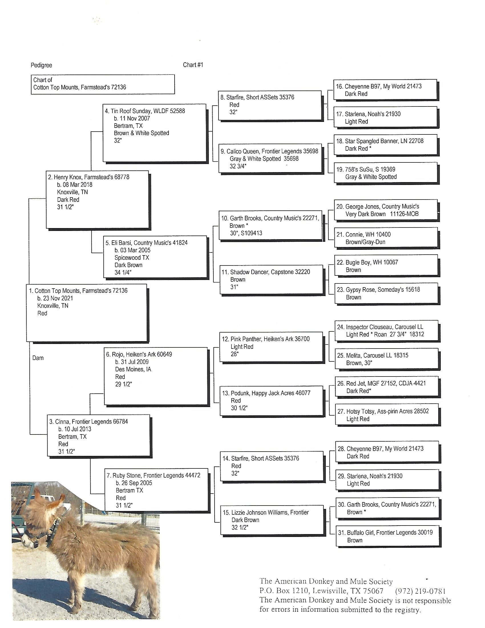 Cotton Top's Pedigree
