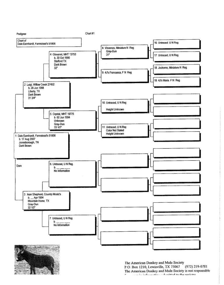 Ernie's Pedigree