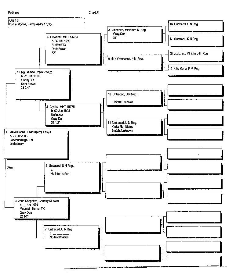 Daniel's Pedigree