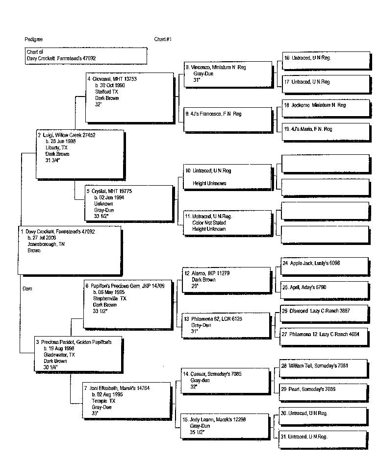 Davy's Pedigree