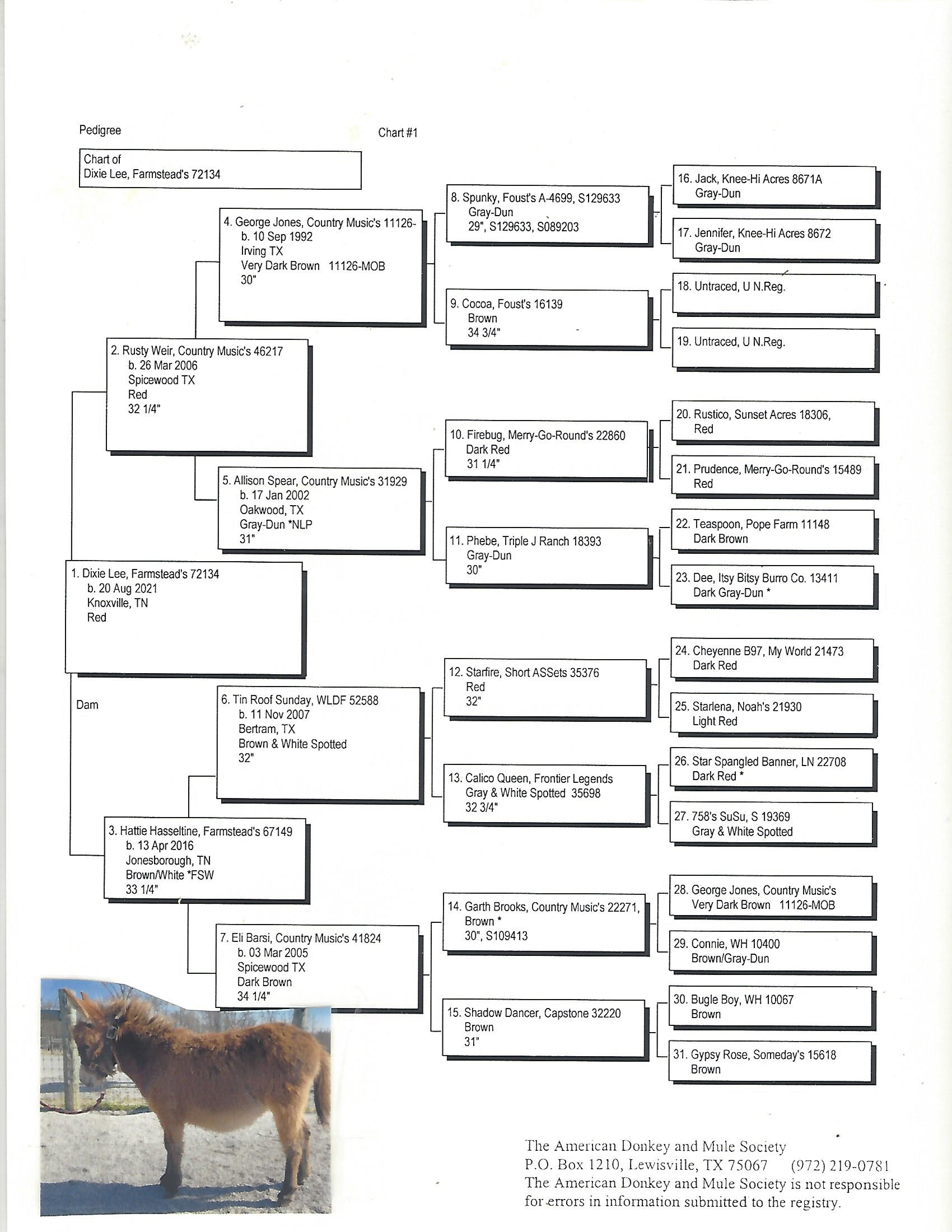 Dixie Lee's Pedigree