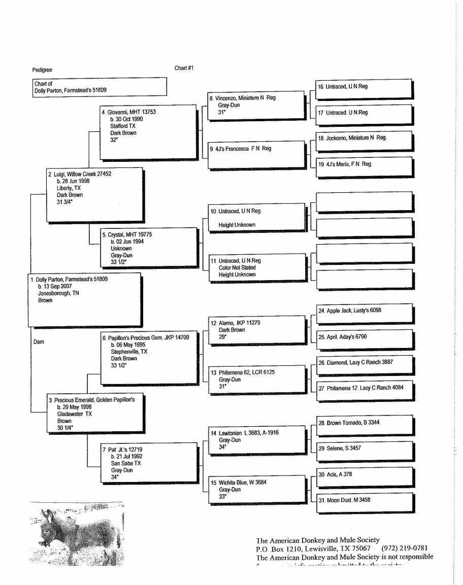 Dolly's Pedigree