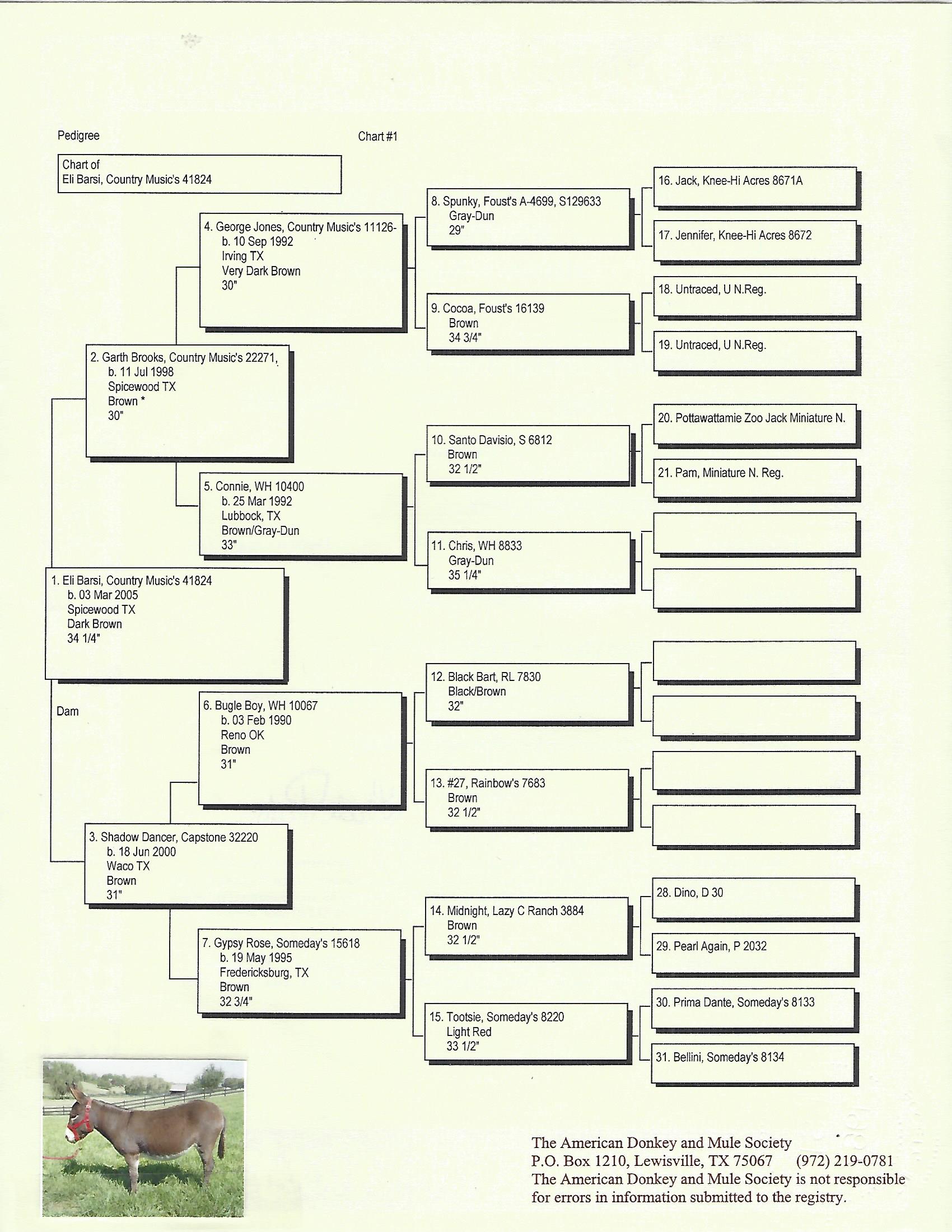 Eli's Pedigree