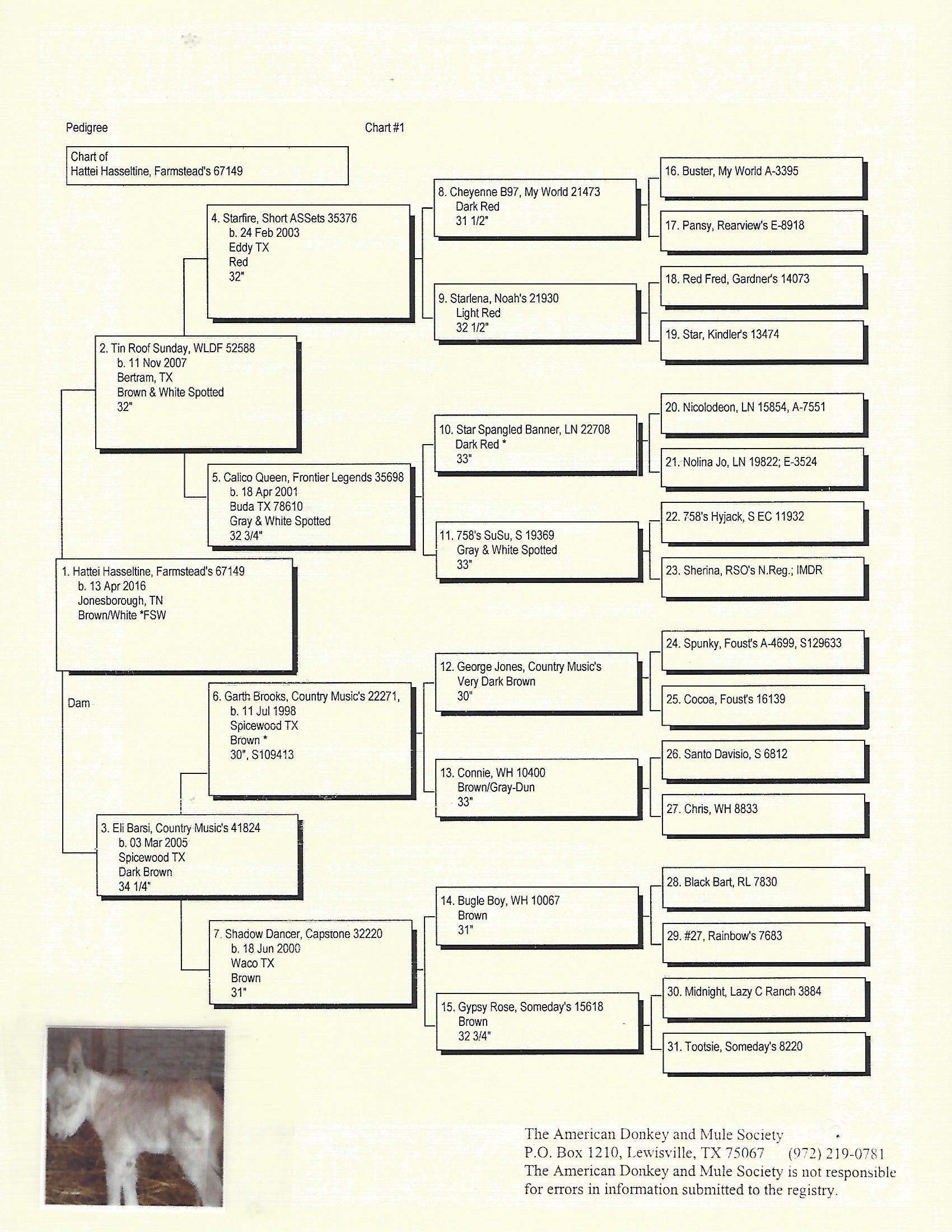 Hattie's Pedigree