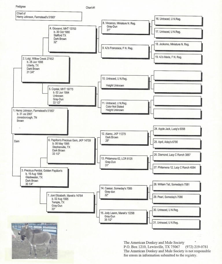 Henry's Pedigree
