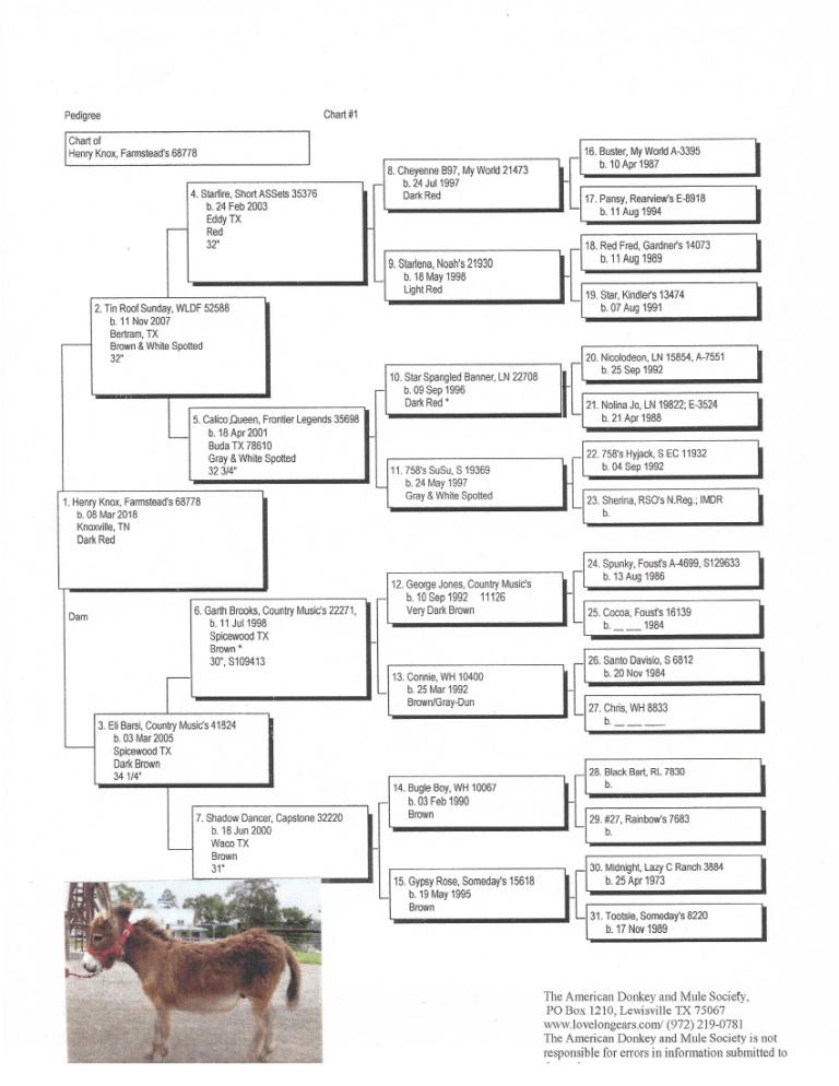 Knox's Pedigree