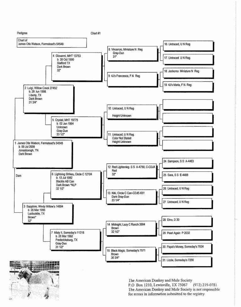 Otis' Pedigree