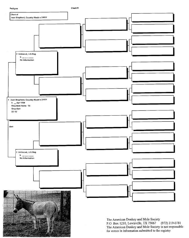 Jean's Pedigree