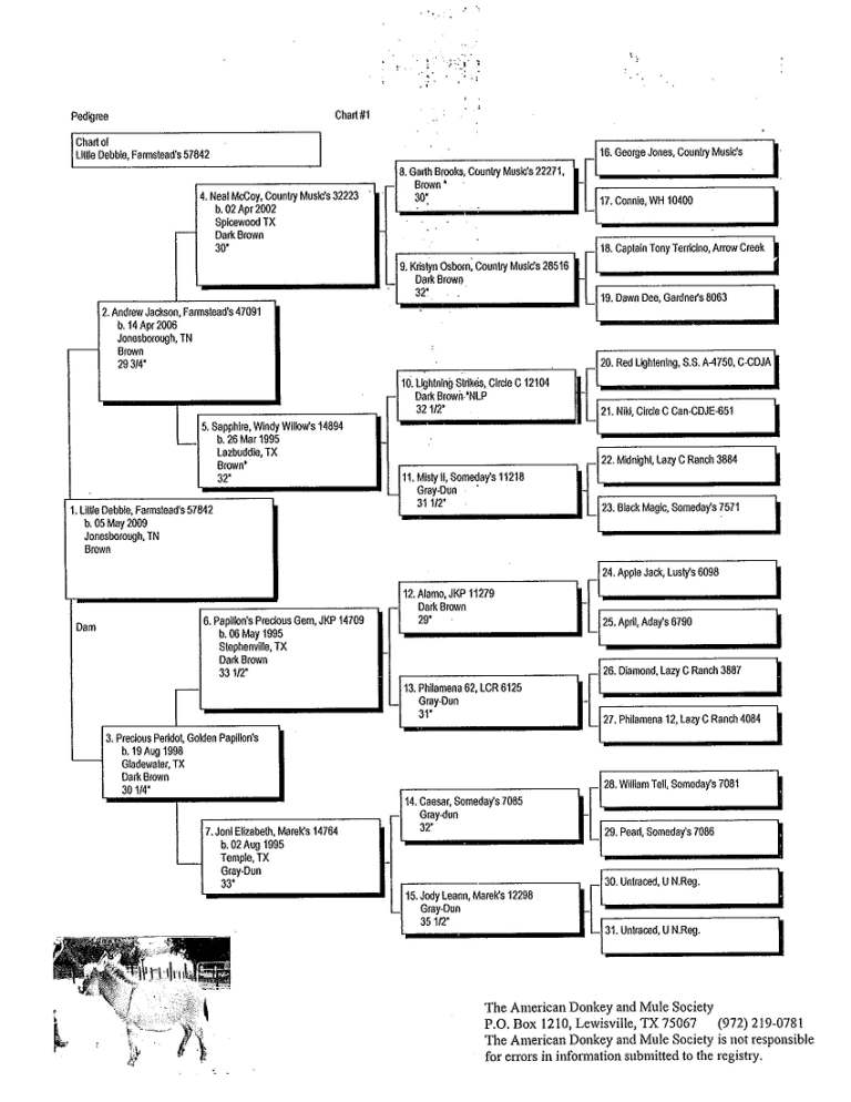 Little Debbie's Pedigree