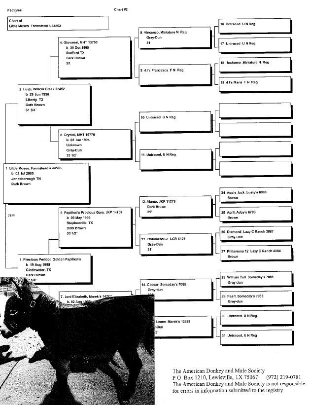 Moses' Pedigree
