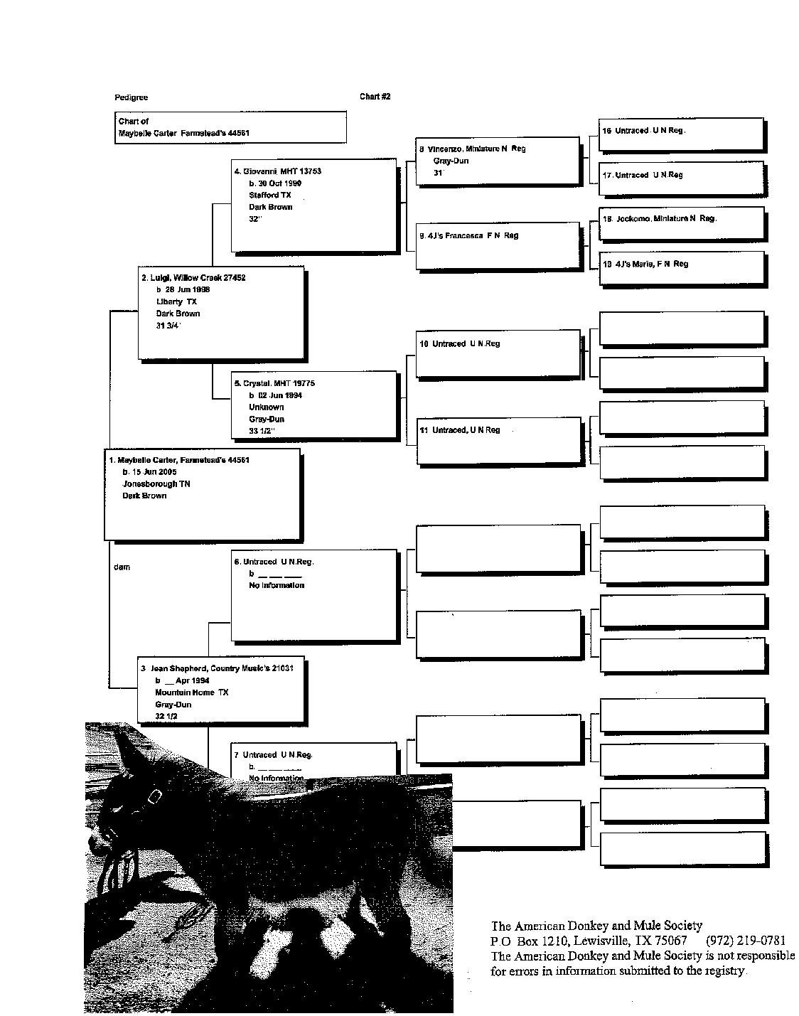 Maybelle's Pedigree