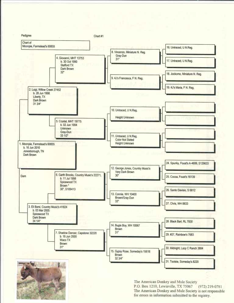 Moonpie's Pedigree