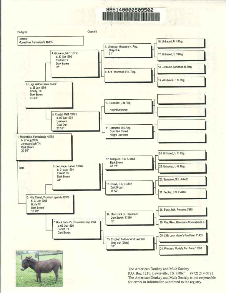 Moonshine's Pedigree