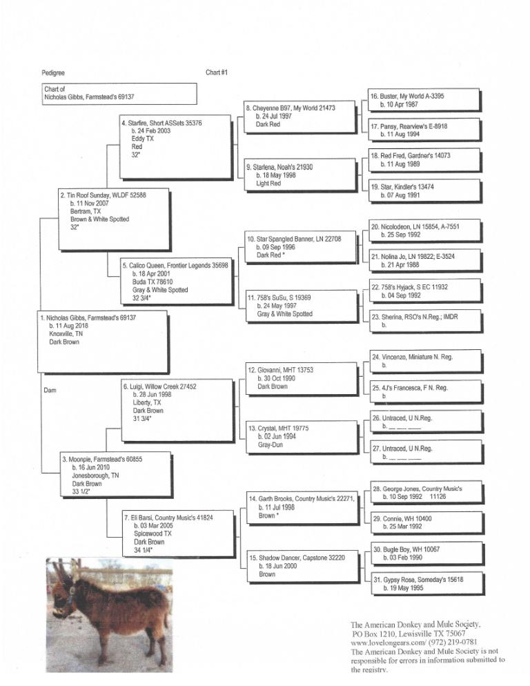 Gibbs' Pedigree