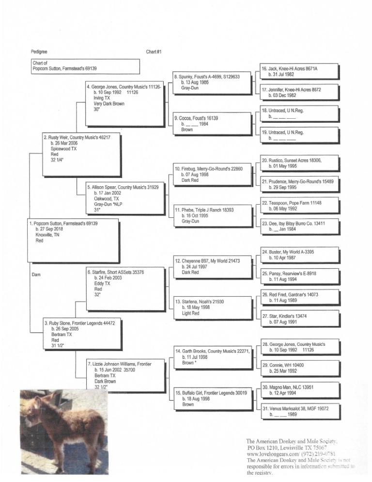 Popcorn's Pedigree