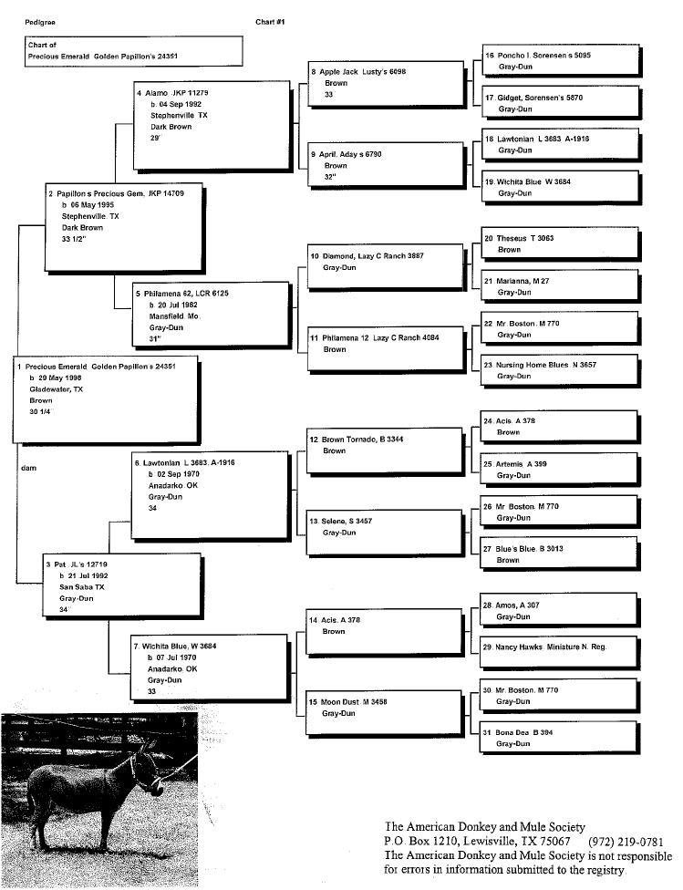 Emmy's Pedigree