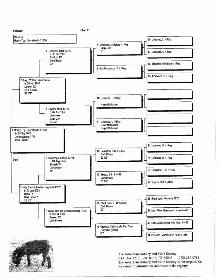 Rocky Top's Pedigree