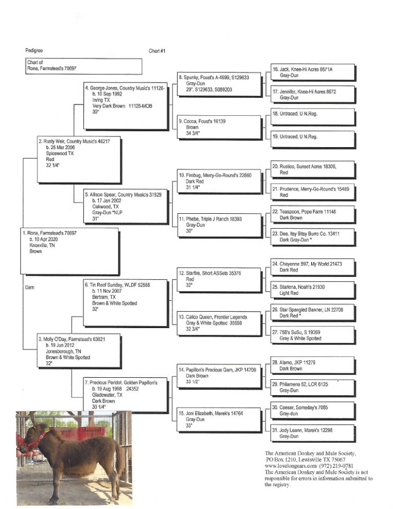 Rona's Pedigree