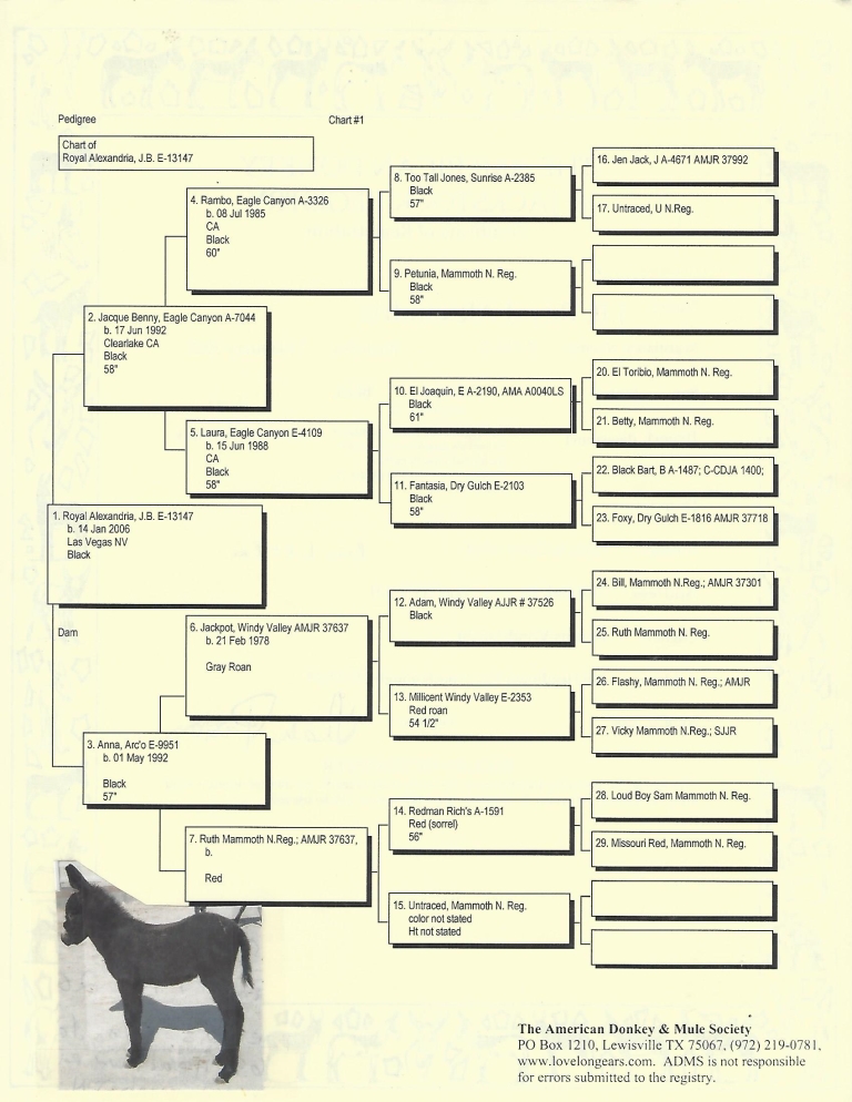 Alexandria's Pedigree