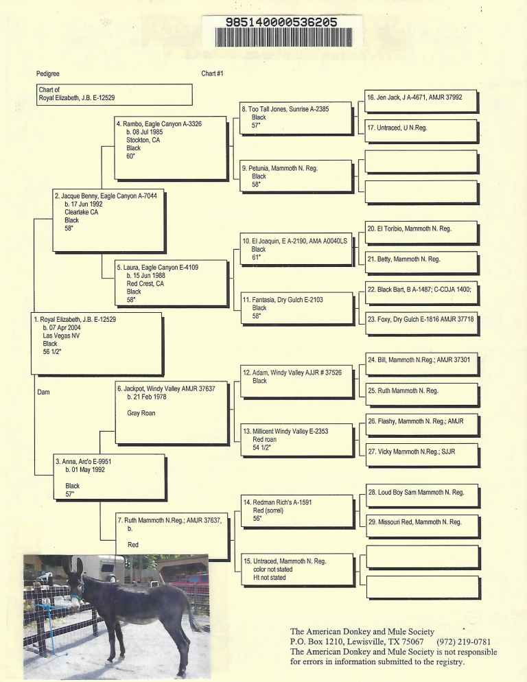 Elizabeth's Pedigree