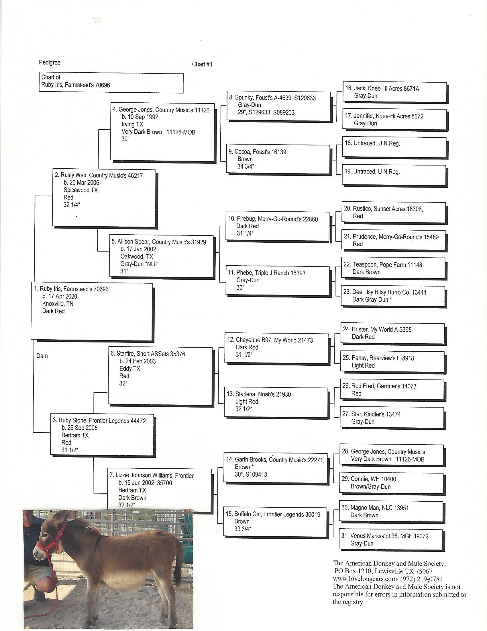 Iris' Pedigree