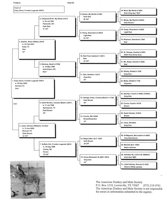 Ruby's Pedigree