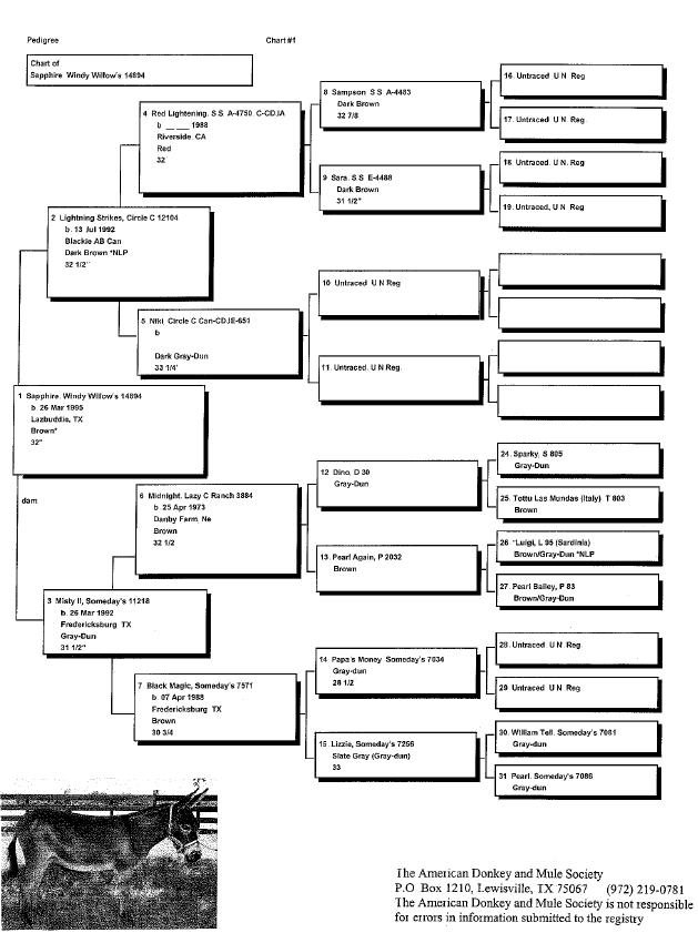 Sapphire's Pedigree