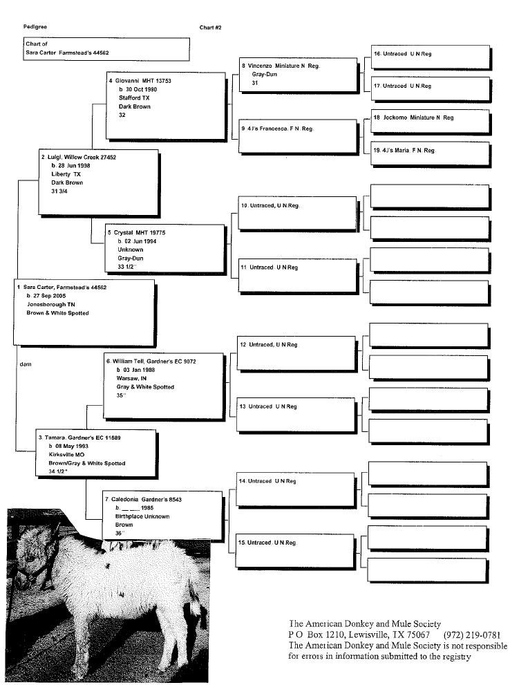 Sara's Pedigree