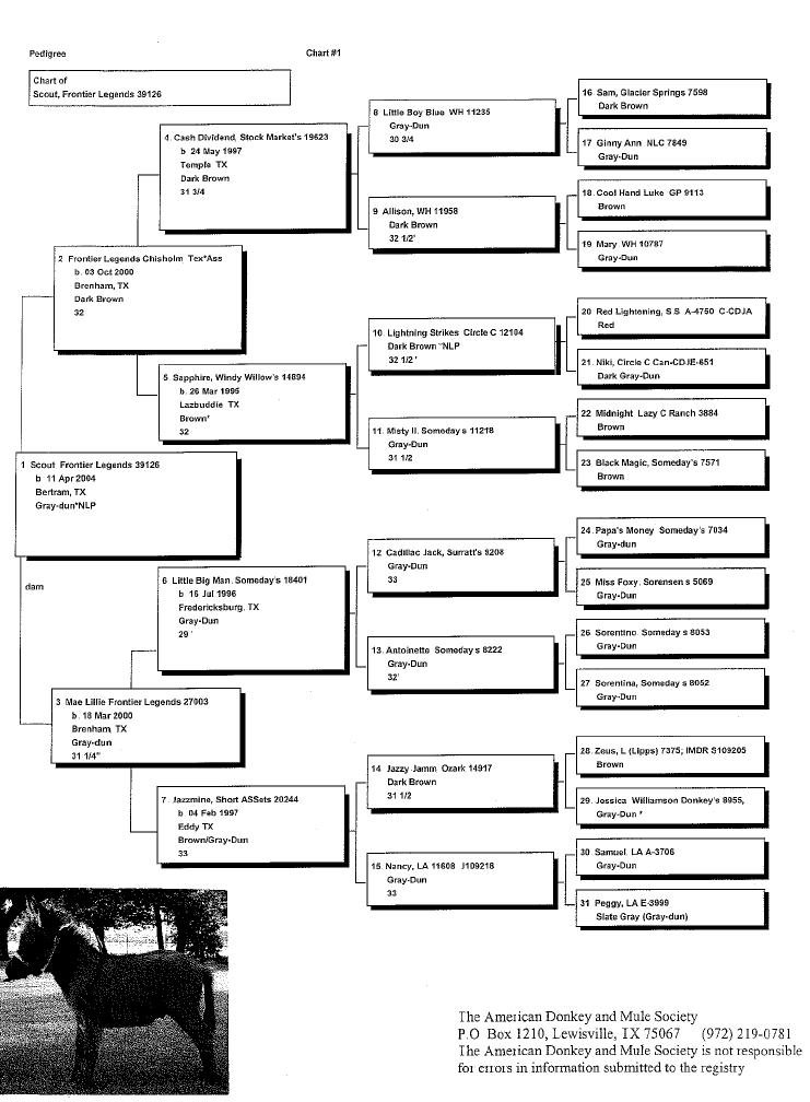 Scout's Pedigree