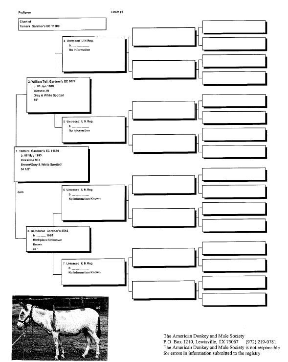 Tamara's Pedigree