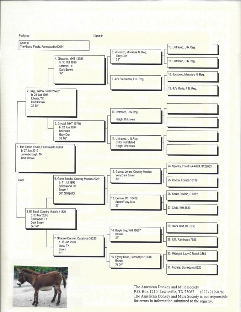 Fin's Pedigree