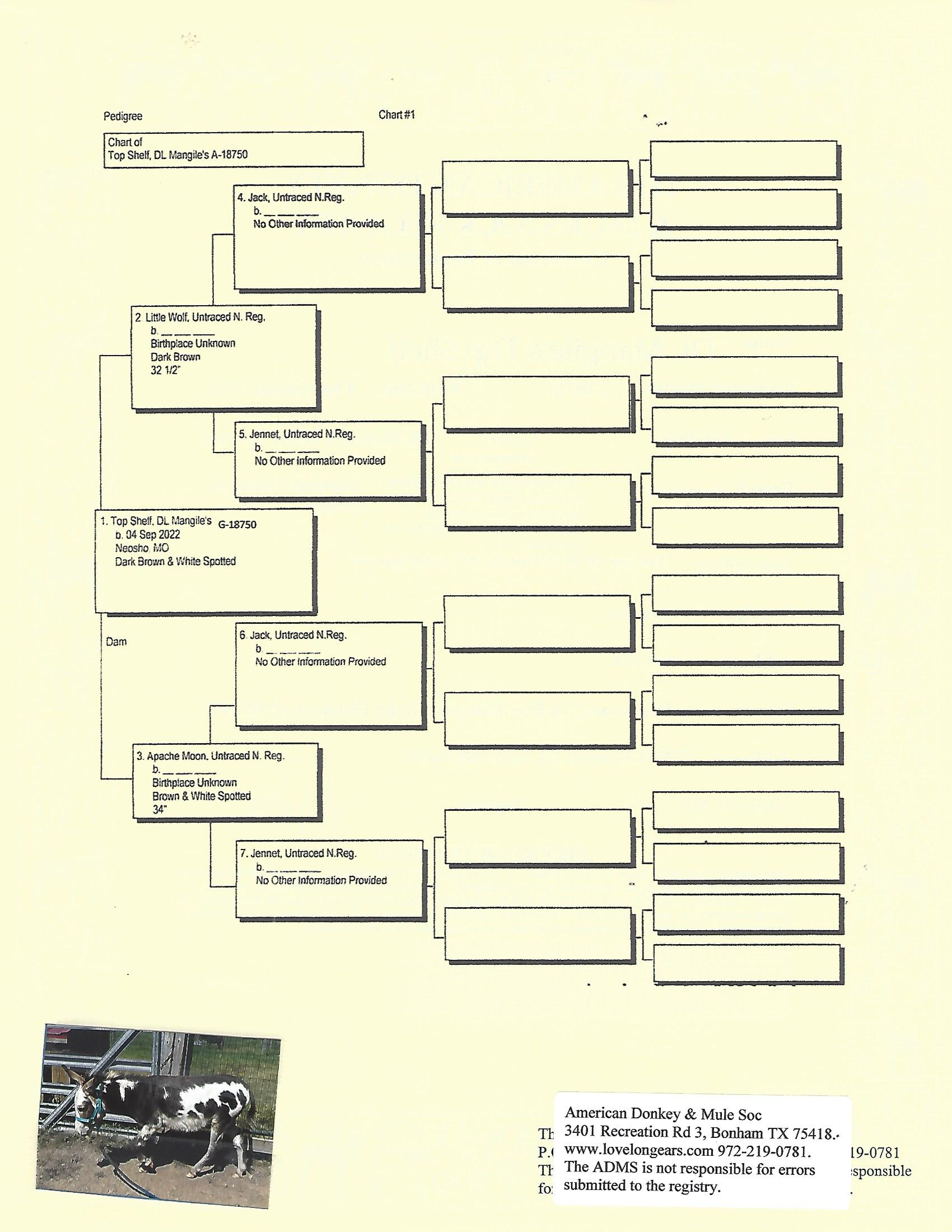 Toppers's Pedigree