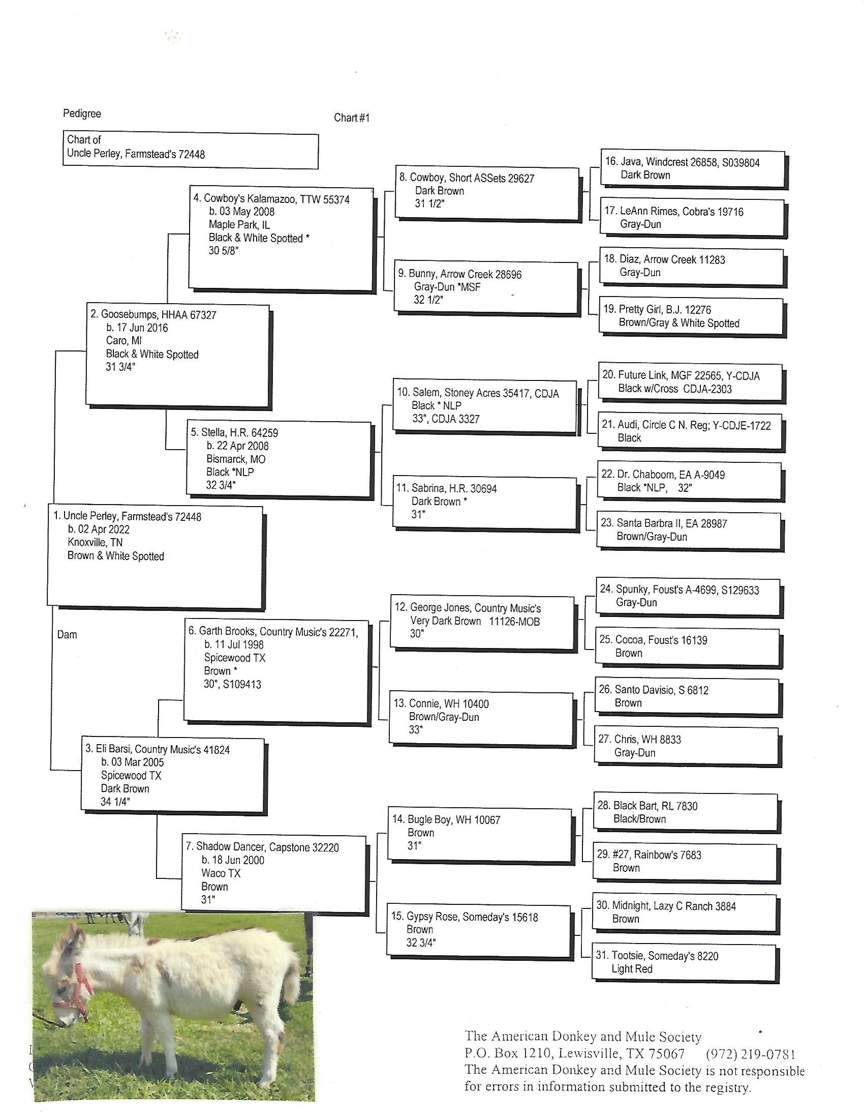 Uncle Perley's Pedigree