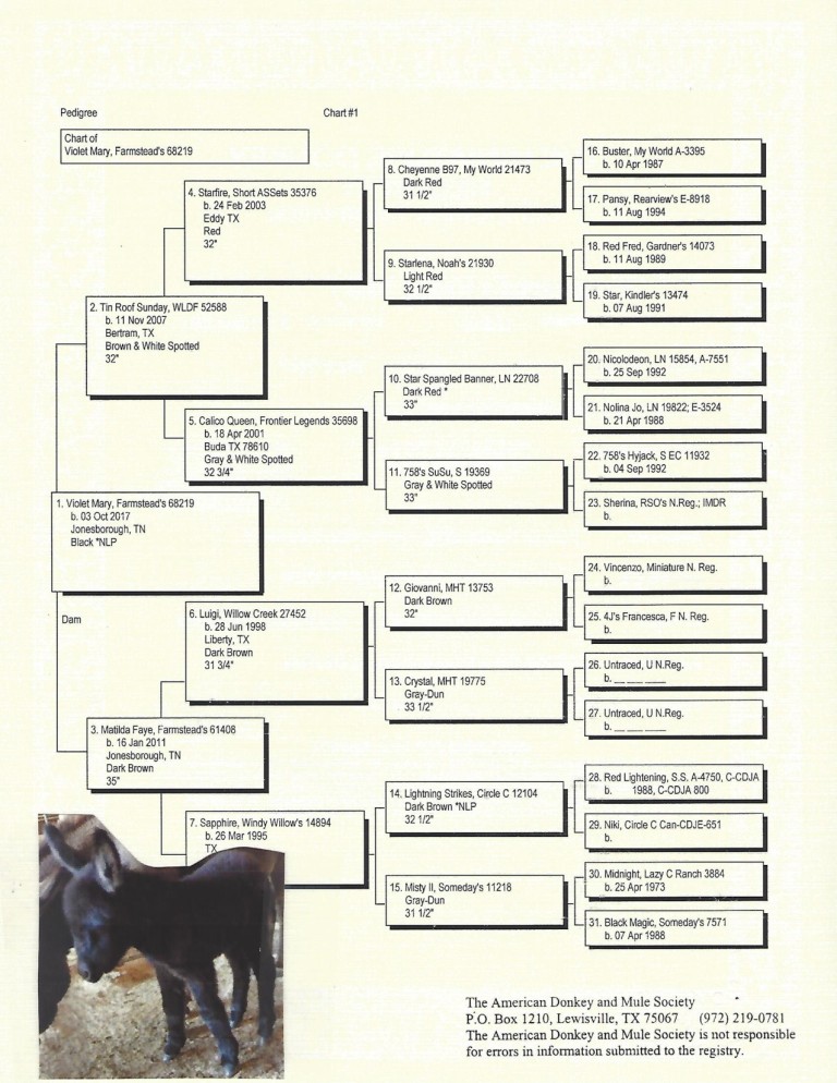 Violet's Pedigree