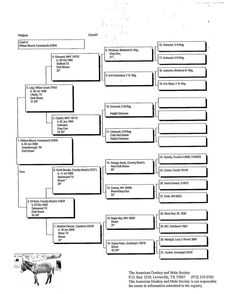 Willie's Pedigree