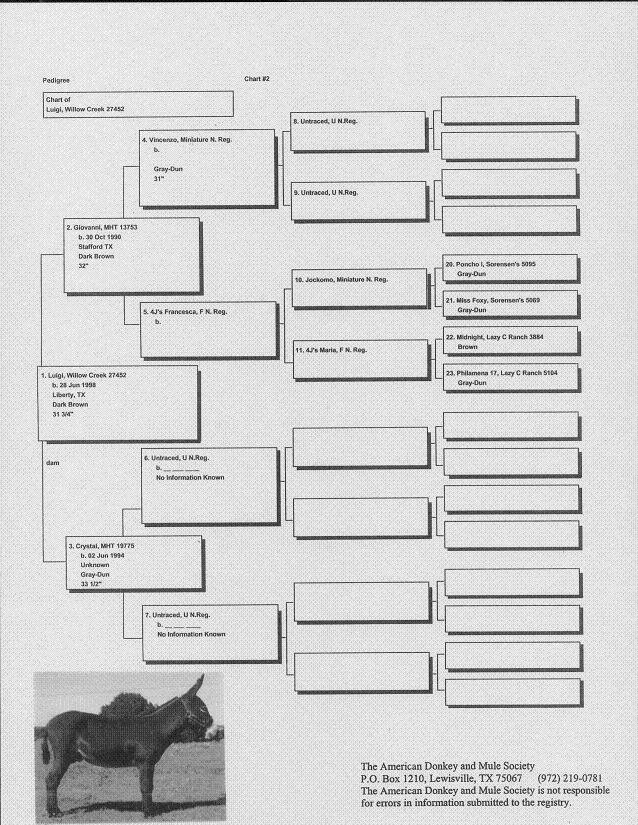 Luigi's Pedigree