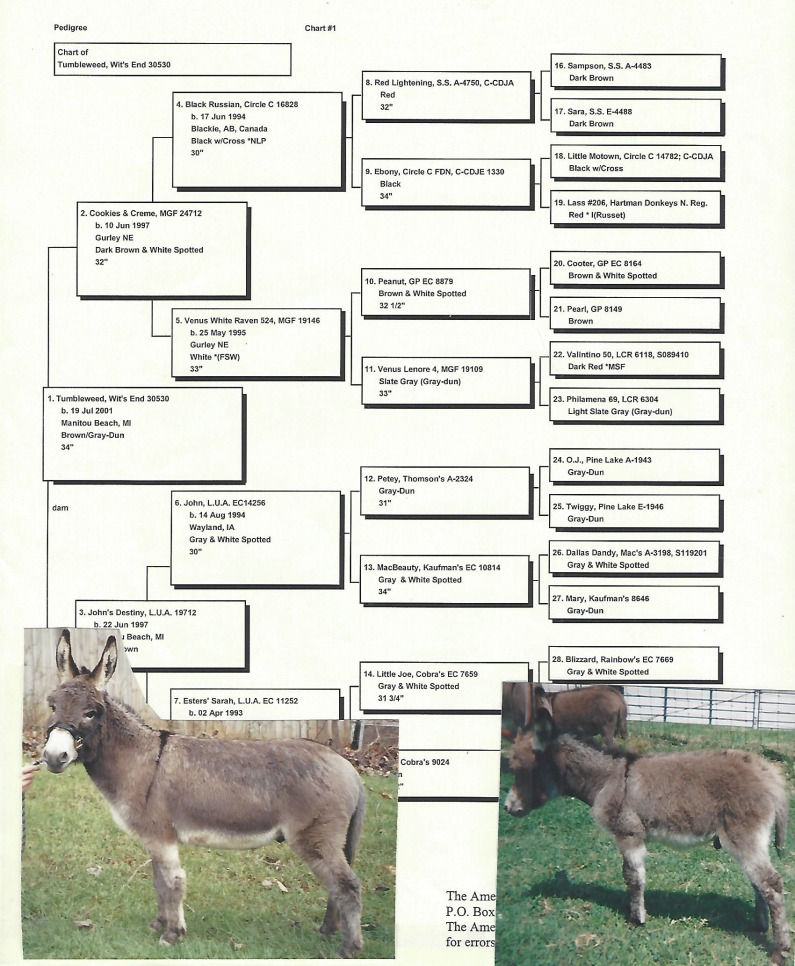 Weeds' Pedigree