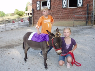 Donkey With a Friend